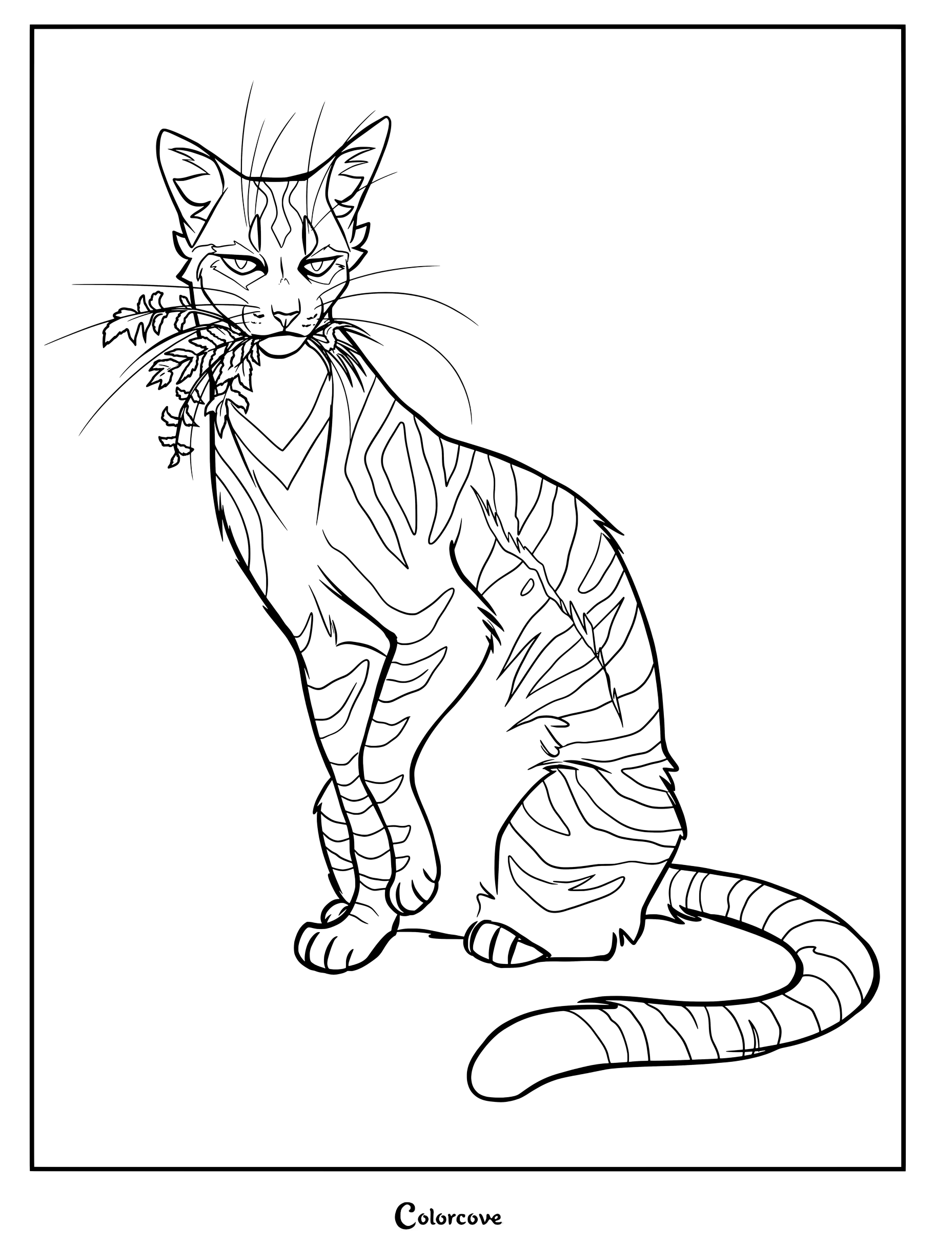 Dibujo para colorear de Glayo de Los Gatos Guerreros sosteniendo hierbas en la boca.
