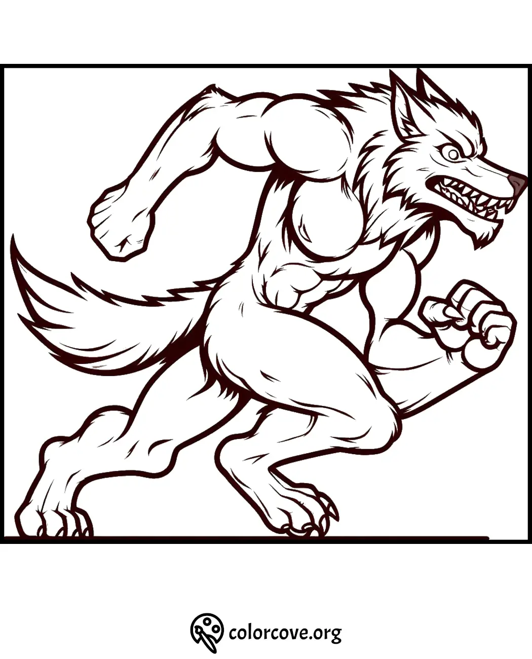 Werewolf coloring page: muscular werewolf mid-run with bared teeth and claws. Printable for kids and adults. Colorcove.org.