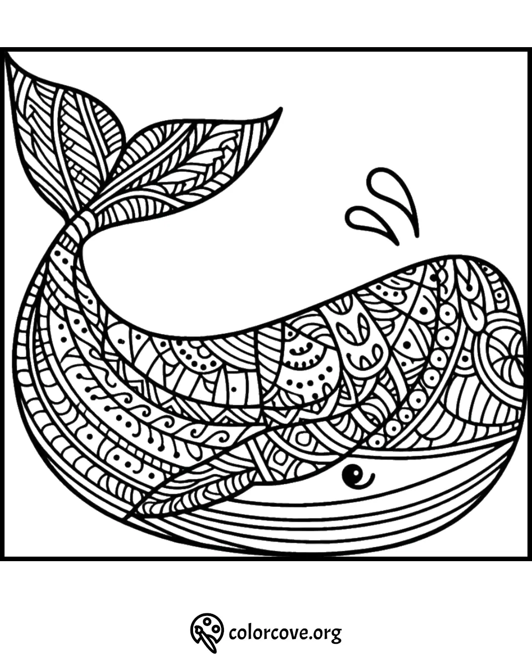 Intricate whale coloring page with patterns, great for stress relief and creativity. Perfect for kids and adults. ColorCove.org