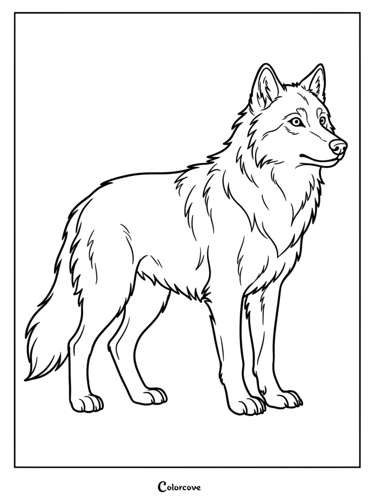 A detailed line art coloring page of a majestic wolf standing in profile with thick fur and alert ears.
